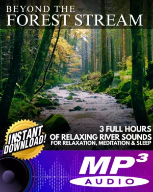 Beyond The Forest Stream - 3 Full Hours Of Relaxing River Sounds